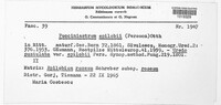 Pucciniastrum epilobii image